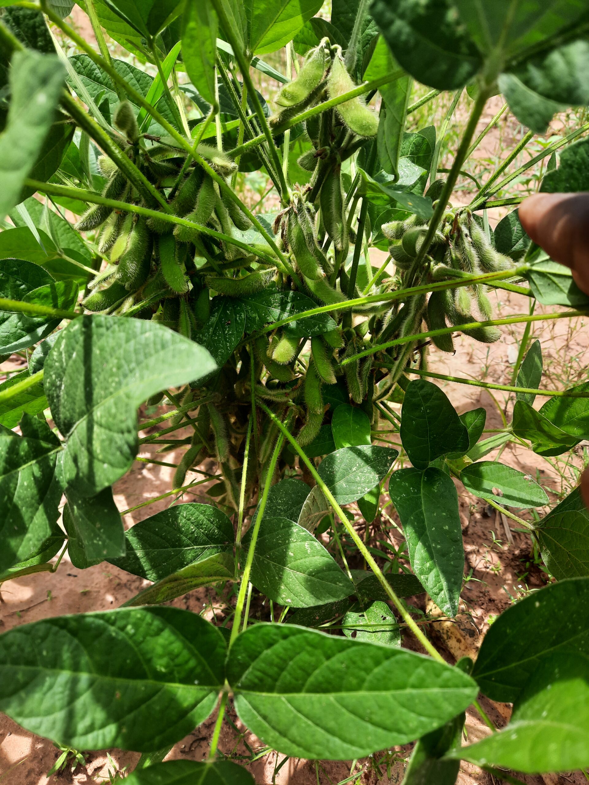 20220927_114445 - Copie (2)